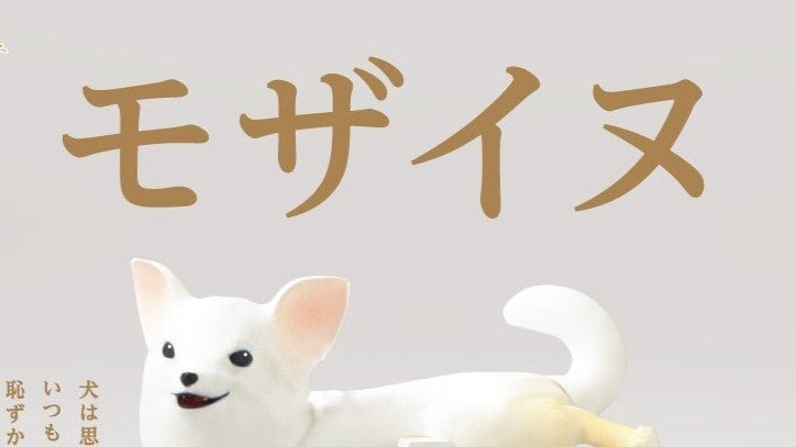 6850f8b919000030f488117a.jpg?