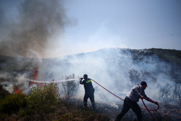 Φωτογραφία αρχείου