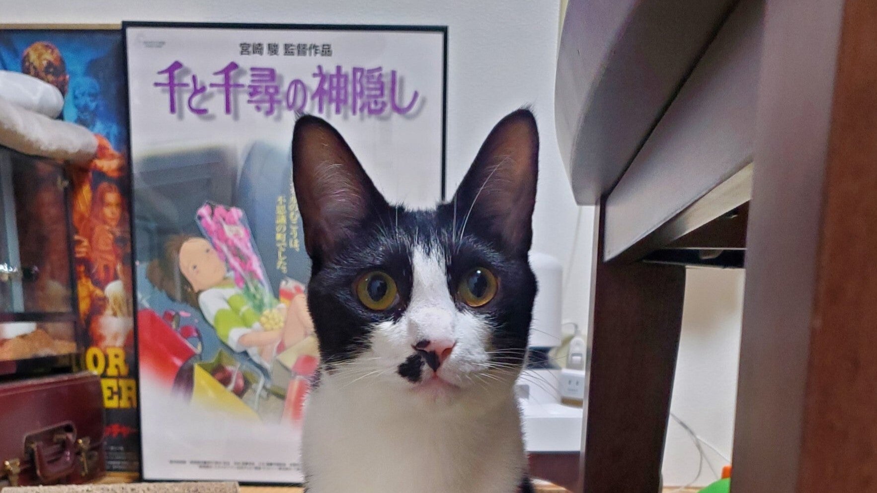 愛猫の座り方が「拙者、猫でござる」。不思議な姿勢を捉えた