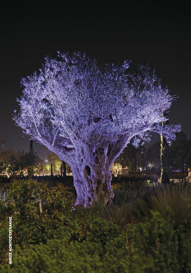 Νίκος Κοντοσταυλάκης, The Ellinikon Experience Park - Ελληνικό, Αθήνα, 2024