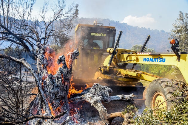 Πυρκαγιά Αργολίδα