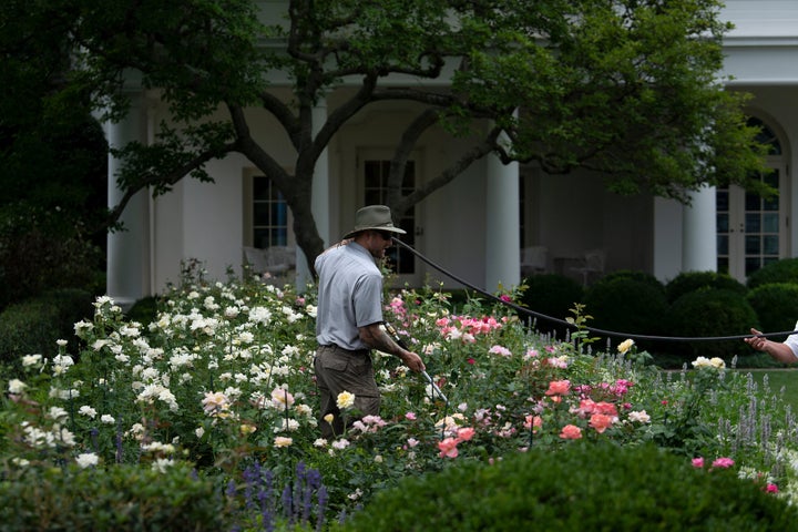 A groundskeeper waters flowers in the Rose Garden in July 2021 — around a year post-Melania Trump's renovation — after many of the new plantings had continued to grow.