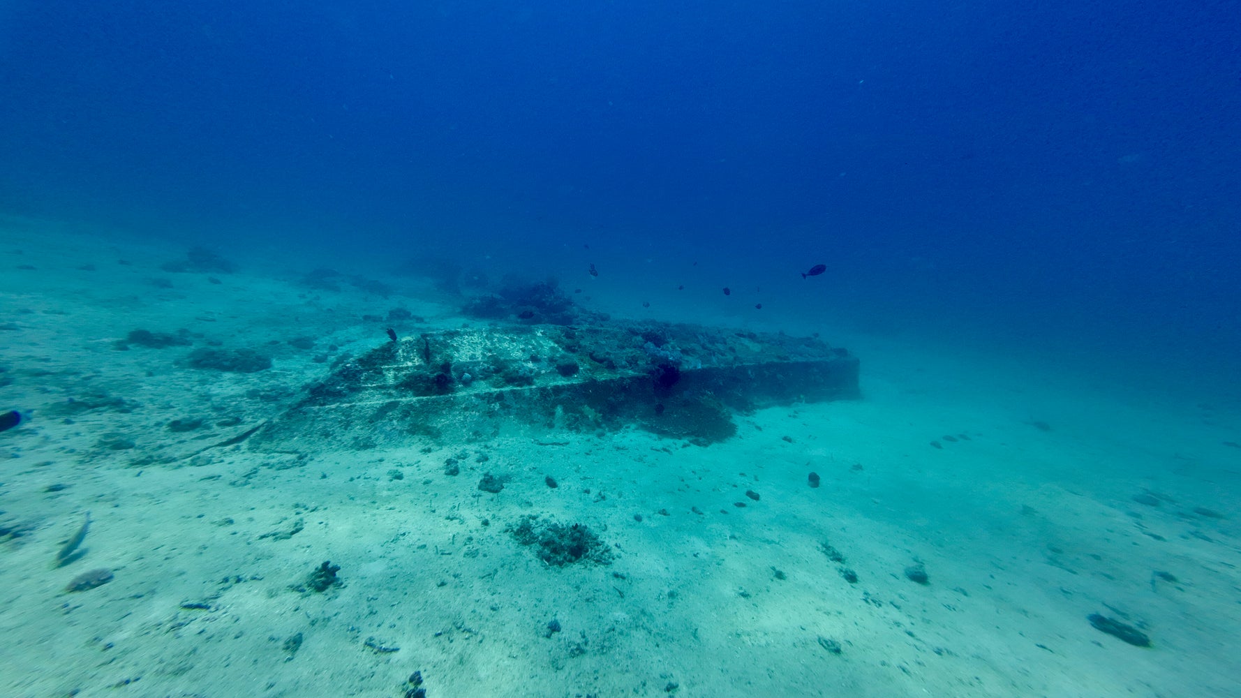 フランス領海で16世紀の沈没船が発見される。「まるで時間が止まった