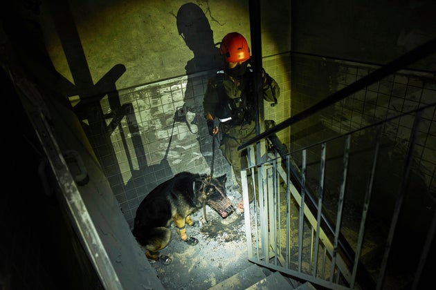 Ισραηλινός διασώστης αναζητά με την βοήθεια ειδικού εκπαιδευμένου σκύλου για επιζώντες στα συντρίμμια κτιρίου στην Μπεερσεβά που επλήγη από ιρανικούς πυραύλους λίγο πριν την έναρξη της εκεχειρίας