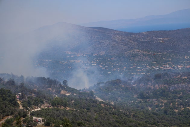 Πυρκαγιά στη Χίο - 24 Ιουνίου 2025