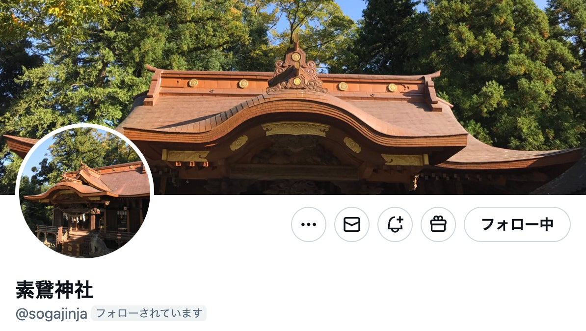 大反響のアートのような「猫お守り」正式頒布が決定。愛猫家の宮司から