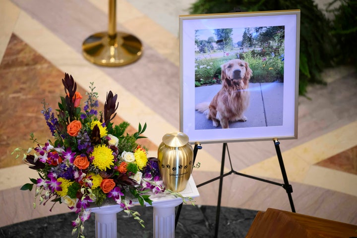 The urn carrying the remains of Gilbert, the dog of Minnesota state Rep. Melissa Hortman and her husband, Mark Hortman, is diplayed at the Minnesota State Capitol in St. Paul, Minn., on Friday, June 27, 2025. (Aaron Lavinsky/Star Tribune via AP)
