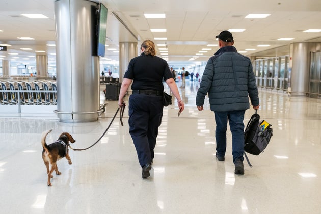 Ο Freddie, ένας K9 της Ταξιαρχίας Beagle της CBP, εργάζεται στο δάπεδο με τον χειριστή του, τον ειδικό Γεωργίας της CBP Mellisa Snyder, στο Διεθνές Αεροδρόμιο Dulles στο Dulles, VA, στις 16 Οκτωβρίου 2024. (Photo by Craig Hudson for The Washington Post via Getty Images)