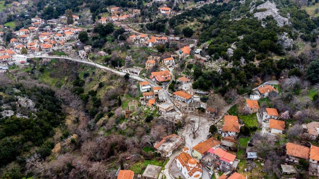 Τα Θαρούνια Εύβοιας είναι ορεινό χωριό στην κεντρική Εύβοια. Υπάγεται στον δήμο Κύμης-Αλιβερίου στη δημοτική ενότητα Ταμυναίων. Το 2011 είχε πληθυσμό 74 κατοίκων.