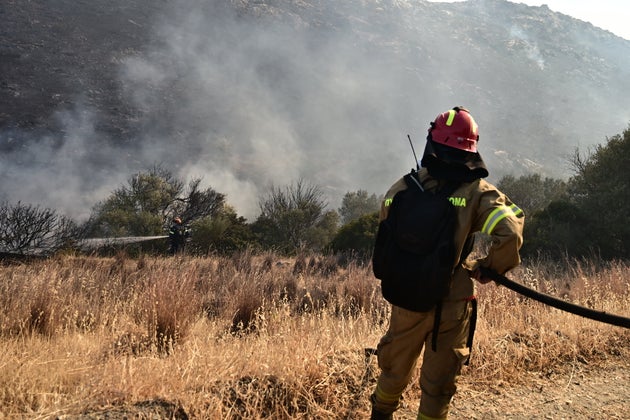 Φωτογραφία αρχείου