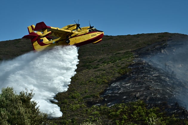 Φωτογραφία αρχείου