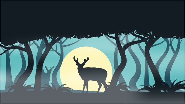 Nature and wildlife concept vector art