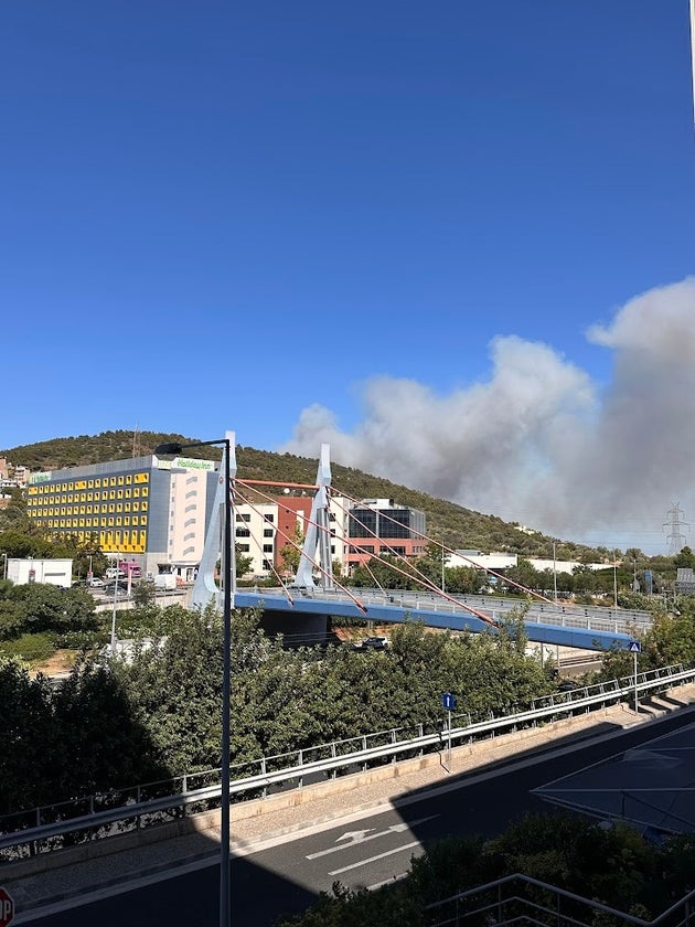Στιγμιότυπο από το πύρινο μέτωπο στο ύψος της Κάντζας, Αττική Οδός