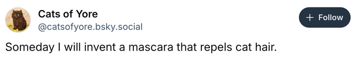 Screenshot @catsofyore.bsky.social via Bluesky