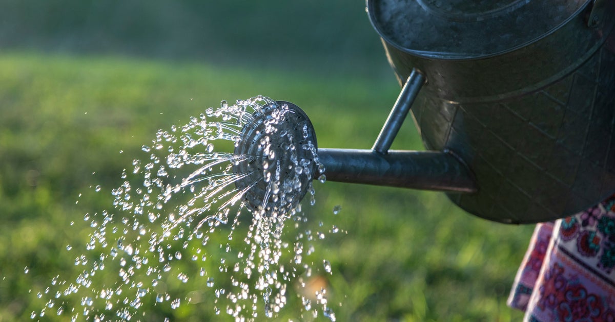 UK Gardeners Urged To Pee In Watering Cans For 2 Surprising Benefits