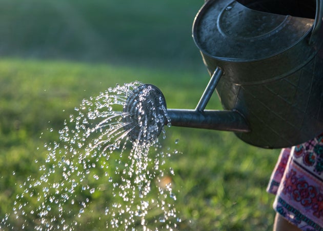 A watering can