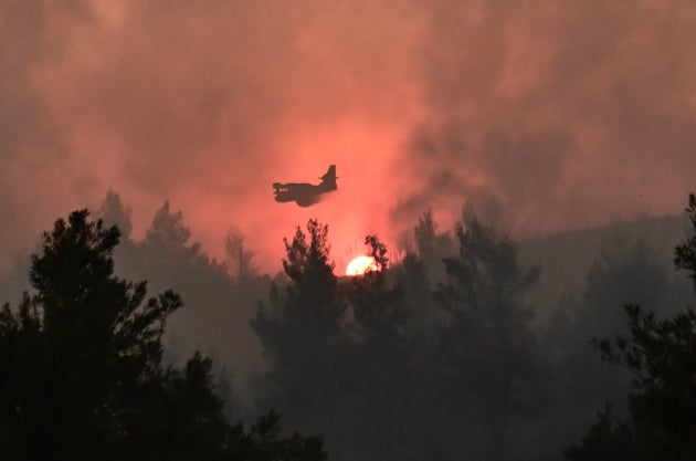 ΠΥΡΚΑΓΙΑ ΣΕ ΔΑΣΙΚΗ ΕΚΤΑΣΗ ΣΤΗΝ ΠΕΡΙΟΧΗ ΤΟΥ ΑΣΠΡΟΧΩΡΙΟΥ ΩΡΩΠΟΥ (ΚΩΣΤΑΣ ΤΖΟΥΜΑΣ/EUROKINISSI)