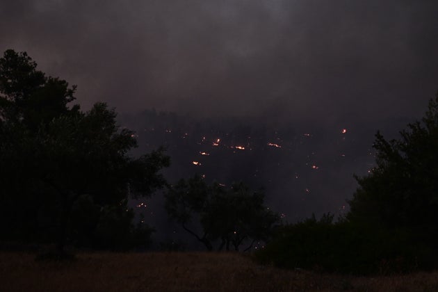 ΠΥΡΚΑΓΙΑ ΣΕ ΔΑΣΙΚΗ ΕΚΤΑΣΗ ΣΤΗΝ ΠΕΡΙΟΧΗ ΤΟΥ ΑΣΠΡΟΧΩΡΙΟΥ ΩΡΩΠΟΥ