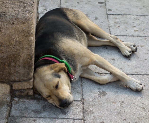 Φωτογραφία αρχείου