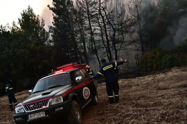 ΠΥΡΚΑΓΙΑ ΣΕ ΔΑΣΙΚΗ ΕΚΤΑΣΗ ΣΤΗΝ ΠΕΡΙΟΧΗ ΤΟΥ ΑΣΠΡΟΧΩΡΙΟΥ ΩΡΩΠΟΥ - ΤΕΤΑΡΤΗ 9 ΙΟΥΛΙΟΥ 2025