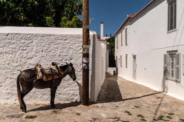 Σύντομα θα επιτρέπεται μόνο η κυκλοφορία οχημάτων δημόσιας χρήσης και επαγγελματικών οχημάτων που εξυπηρετούν κατασκευαστικές ή οικοδομικές εργασίες -- και μόνο εφόσον το έργο είναι σε εξέλιξη και υπάρχει σχετική άδεια.