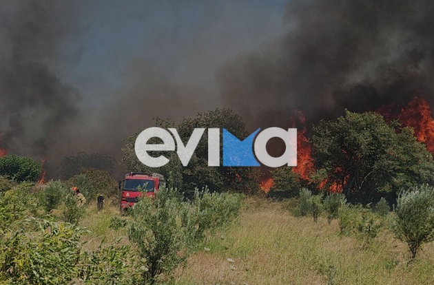 Πυρκαγιά στην Εύβοια.