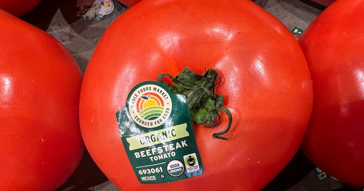 US Imposes Major Duty On Fresh Mexican Tomatoes To Boost Domestic Production