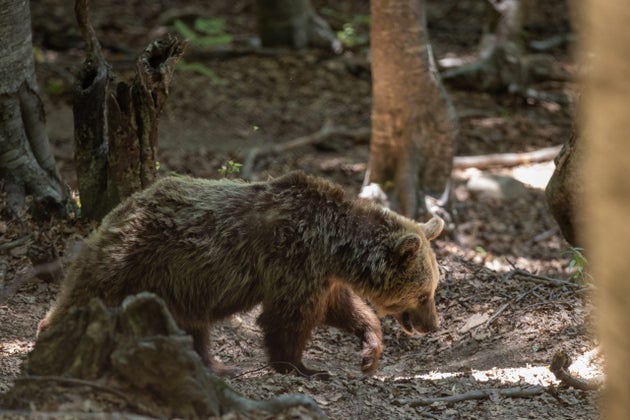 Φωτογραφία Αρχείου