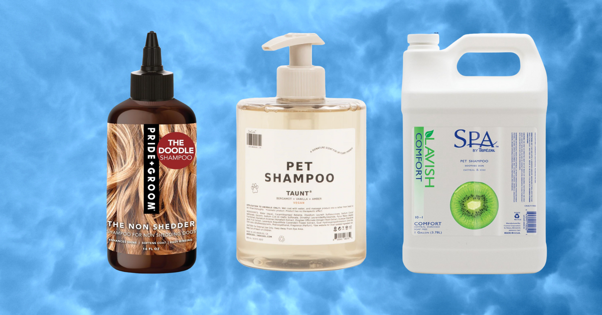 Best Dog And Cat Shampoos, According To Groomers