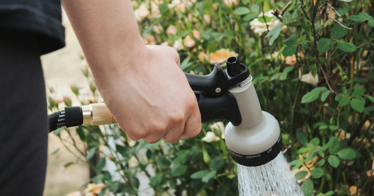 Hosepipe Ban：どこ、いつ、誰が影響を受けますか？私は免除されていますか？
