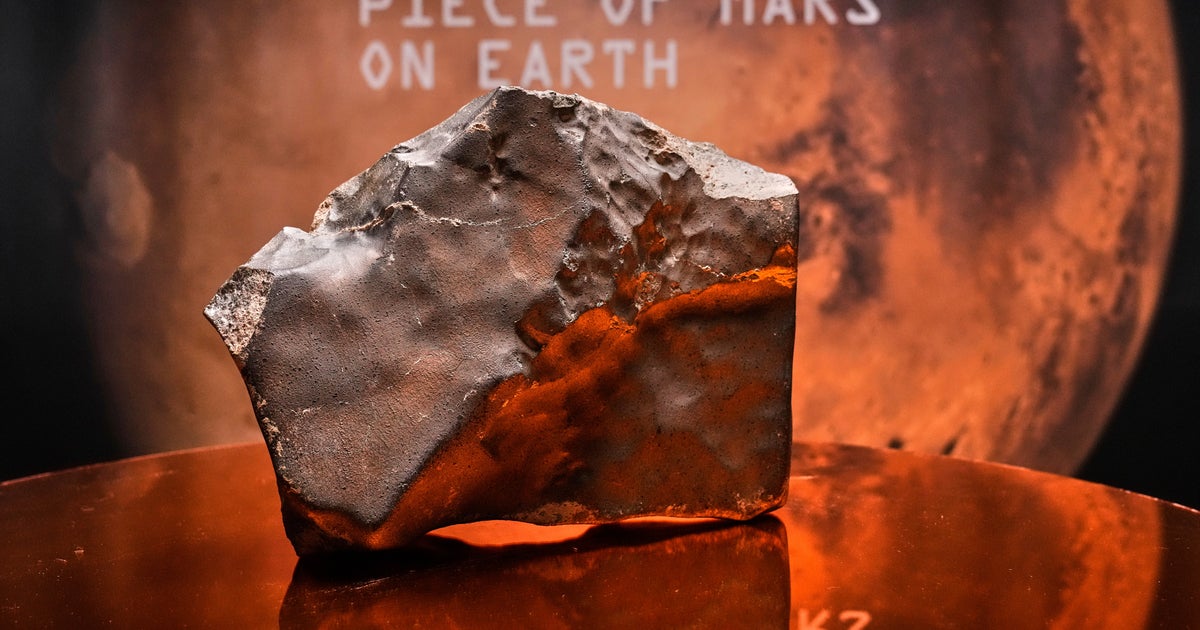 Largest Piece Of Mars On Earth Fetches Millions At Auction