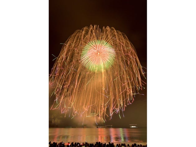 打ち上がりから600mの距離で見ると花火の全体像が見え美しい姿で観賞できる 