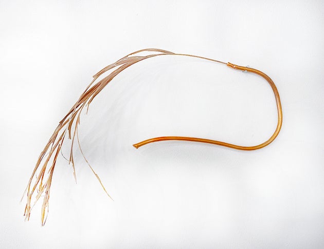 Αλεξία Ψαραδέλη, Botanical Relic, 2025, φύλλα, μεικτή τεχνική