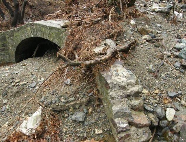 Επιχωματώσεις από φερτά υλικά και ξεριζωμένα δέντρα. Ανύψωση της στάθμης του πυθμένα από την πλημμύρα του 2017