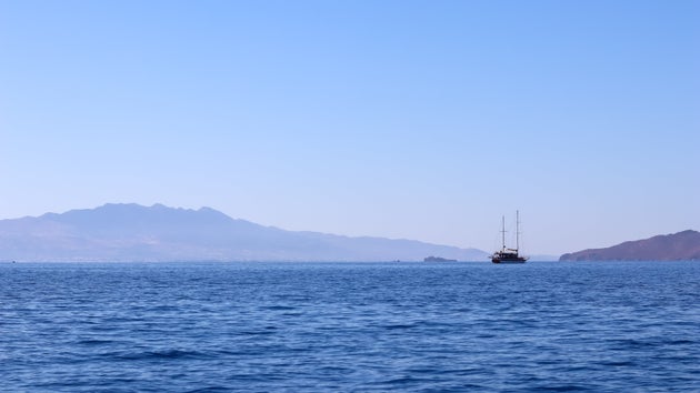 Φωτογραφία αρχείου