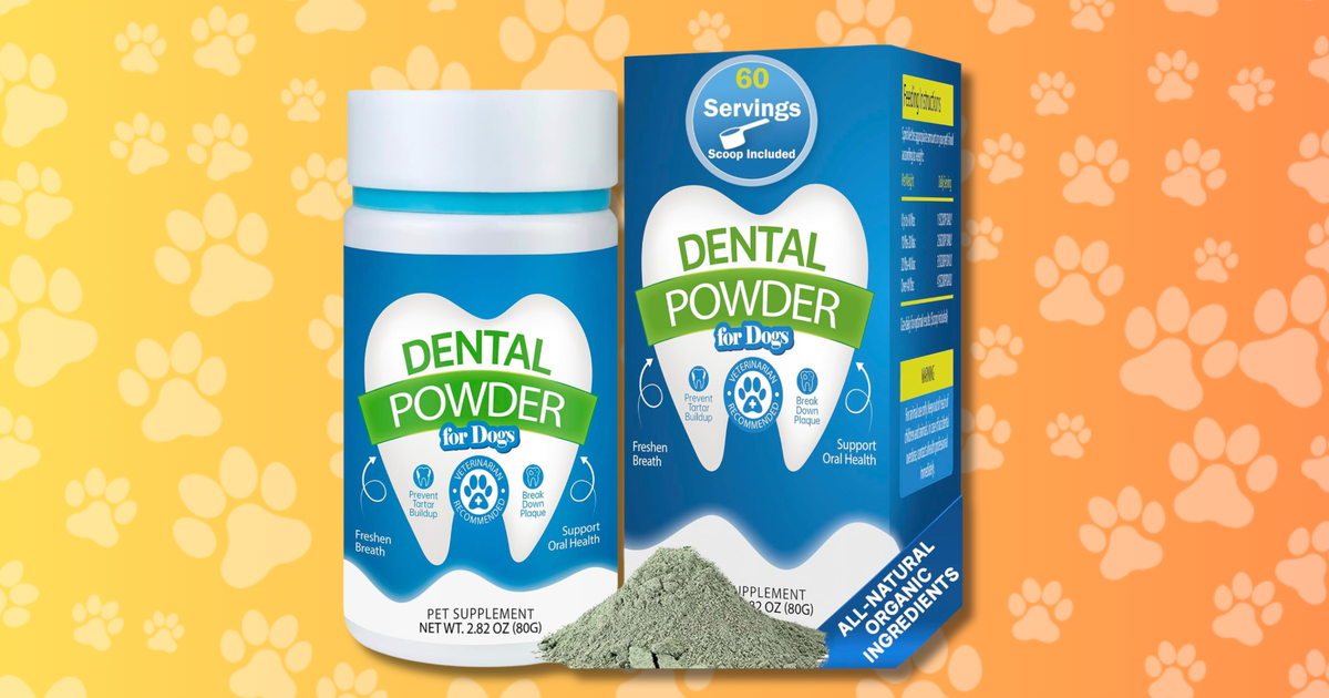The Best Dog Dental Cleaning Powder