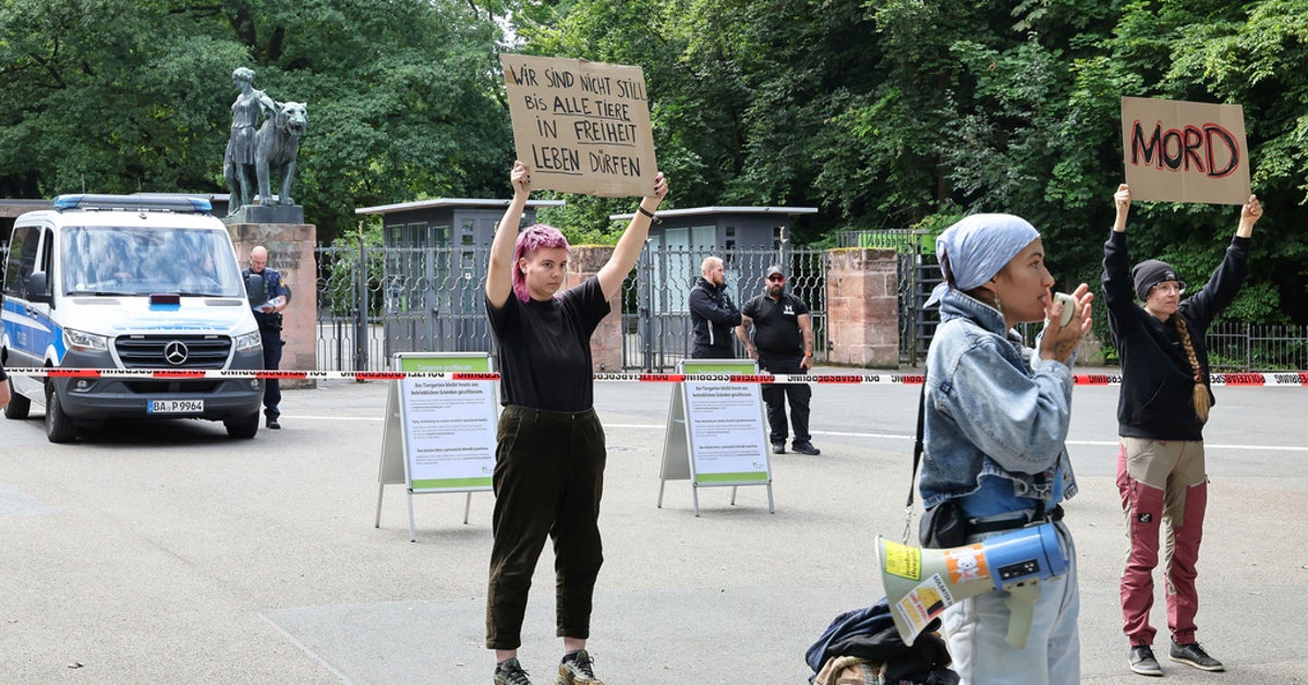 https://img.huffingtonpost.com/asset/68891a8c1900004815600742.jpg?cache=PjKvpOHvK4&ops=1200_630