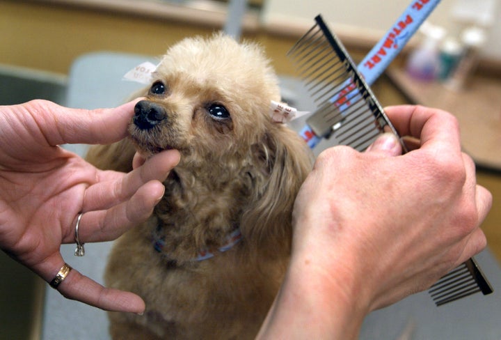 Petsmart 1 Training payment agreements have been criticized in recent years due to the way they enclose workers in their work for prolonged periods.