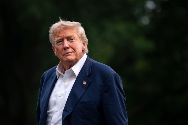 President Donald Trump walks in the southern grass of the White House after arriving to Washington, DC, Marine One on Tuesday, July 29, 2025.