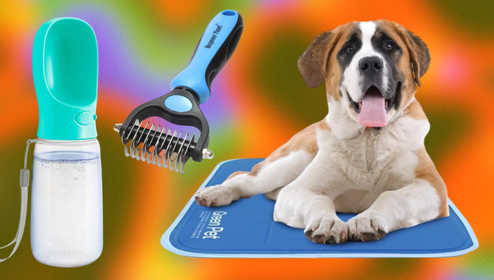 We turned to Amazon for the best cooling products to help make the heat a little easier on your pet.