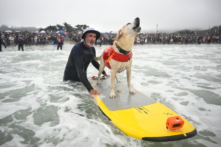 Jeff Nieboer empurra Charlie surfa através dos Breakers durante o Campeonato Mundial de Surf Dog Surfing no sábado, 2 de agosto de 2025, em Pacifica, Califórnia (AP Photo/Eakin Howard)
