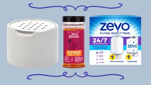 How to Catch Fruit Flies in the Kitchen 
