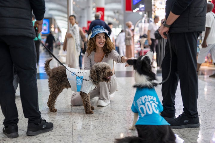 Traveller Pets Terapeutický pes, ktorý poskytuje útechu stresovaným cestujúcim skôr, ako nastúpia na let na letisku v Istanbule 3. mája 2024.