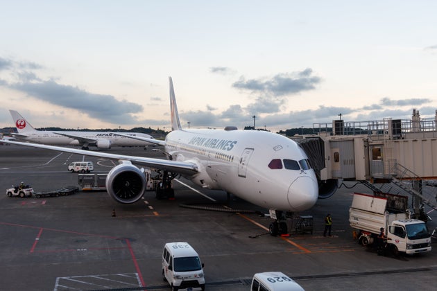 JALの旅客機＝2024年6月3日、日本・成田空港