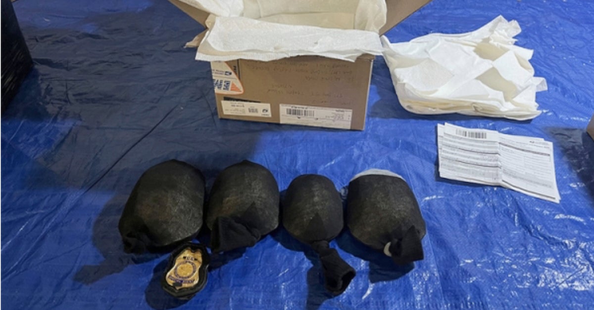 Man Attempted To Smuggle 850 Protected Turtles As 'Plastic Animal Toys'