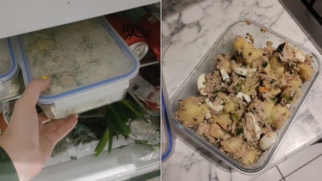 The potato salad in the fridge