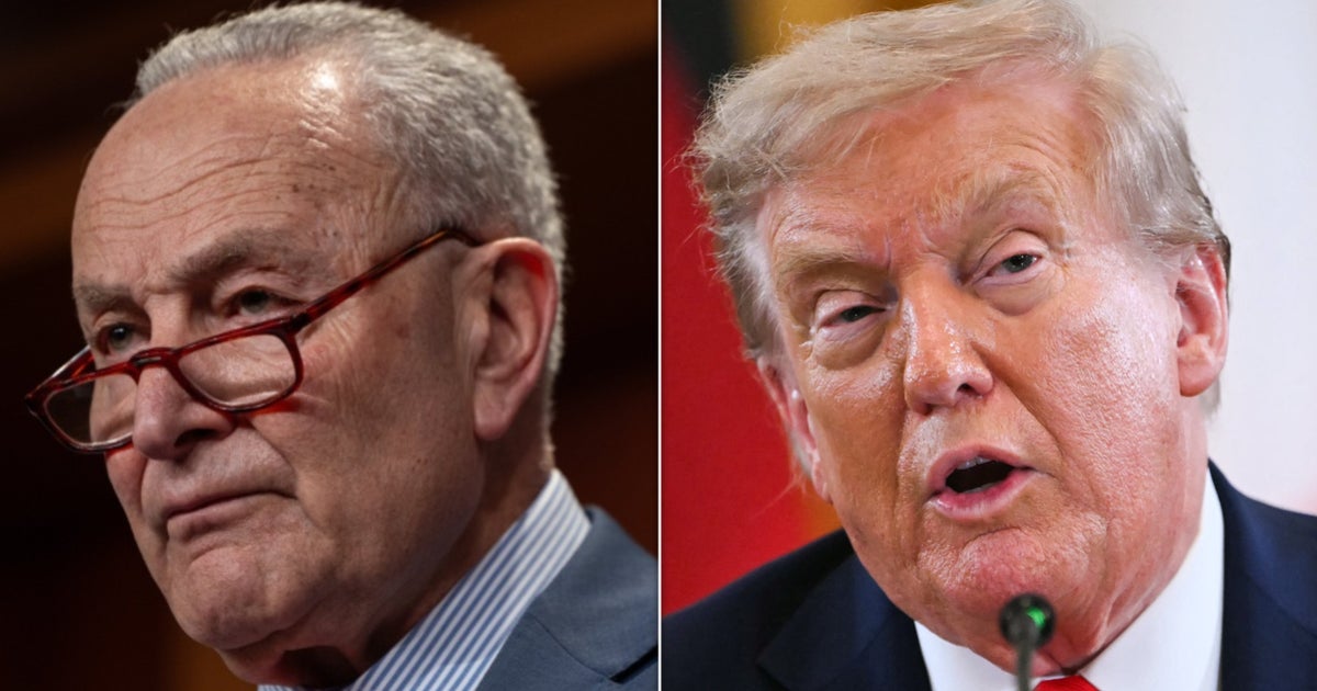 Schumer Rips Trump's Bid To End Mail-In Ballots, Voting Machines