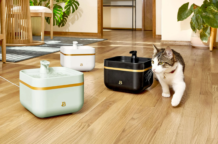 This Drew Barrymore-designed pet water fountain is back in stock (for now).
