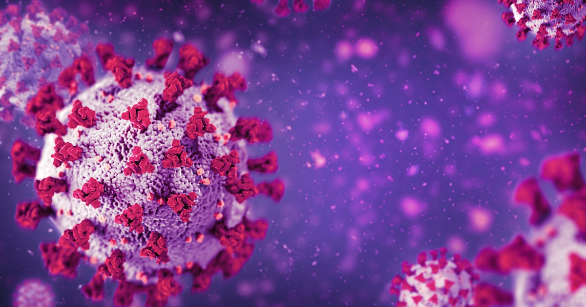 The Common Cold Could Offer Temporary Protection Against COVID The Common Cold Could Offer Temporary Protection Against COVID