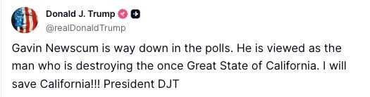 Trump's publication on social truth.